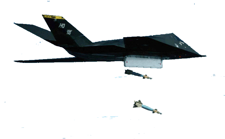 Stealth Fighter